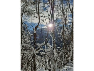 Wintersonne am Flattachberg