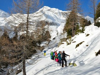 Schneeschuhwandern