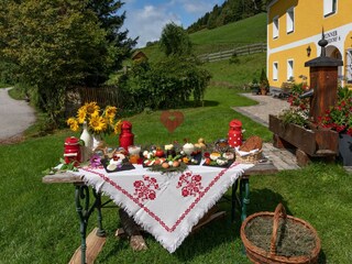 Unsere Produkte - alles BIO