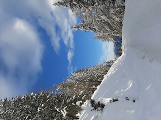 20201212_144434
