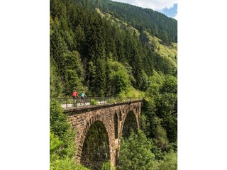 268-17 ©FRANZGERDL NPHT e-bike _8641