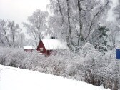 A snowy winter