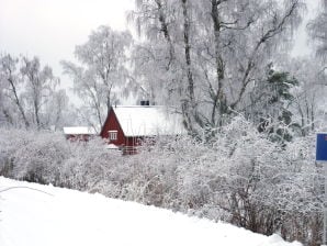 Gîte Chalet - Eckerö - image1