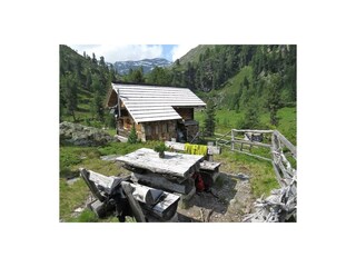 Bärneben Hütte 800