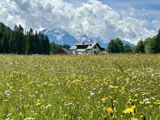 Rund ums Haus Blumenwiesen und wunderschöne Bergblicke