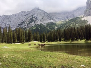 Wander- und Almenparadies Gaistal