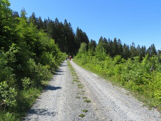 Vakantiehuis Winterberg Omgeving 22
