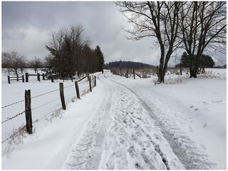 Vakantiehuis Winterberg Omgeving 24