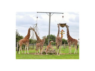 Tier-und Freizeitpark in Jaderberg