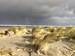 Ferienwohnung Norderney Umgebung 28
