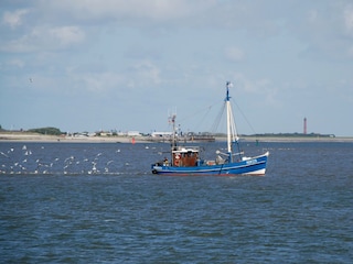 Ferienwohnung Norderney Umgebung 35