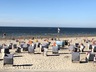 Ferienwohnung Norderney Umgebung 14