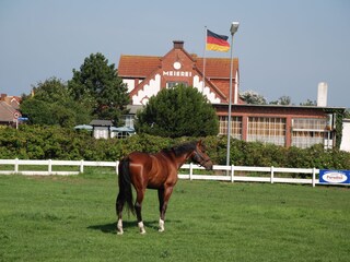 Ferienwohnung Norderney Umgebung 18