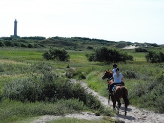 Ferienwohnung Norderney Umgebung 19