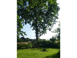 Feuerstelle im Garten mit Blick auf die Felder