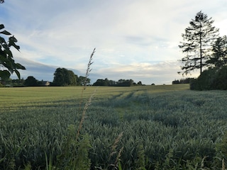 Blick von der Terrasse über die Felder