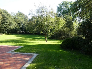 Ausblick von der Terasse in den Garten