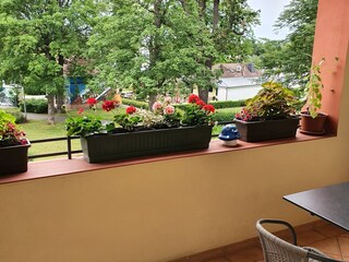 Appartamento per vacanze Wernigerode Registrazione all'aperto 9