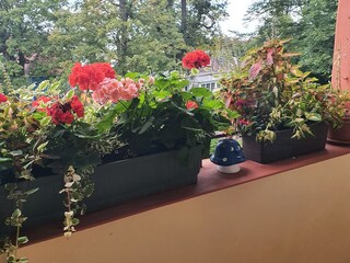 Appartamento per vacanze Wernigerode Registrazione all'aperto 10