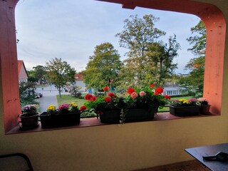 Appartamento per vacanze Wernigerode Registrazione all'aperto 11