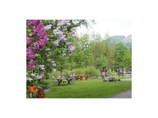 Greiderer Sommergarten