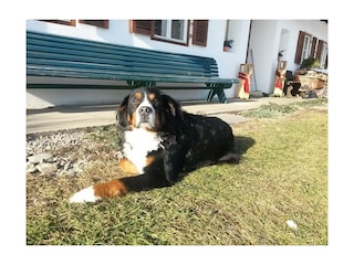 Sammys Lieblingsplatz