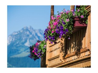 Aussicht