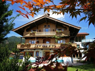 Alpengruß im Sommer