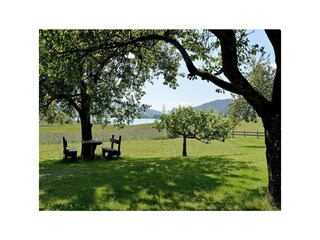 Appartement Walchsee Buitenaudio-opname 9