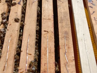 Camera per vacanze Schwendt Registrazione all'aperto 40