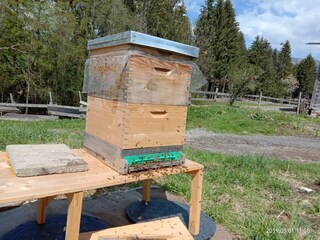 Camera per vacanze Schwendt Registrazione all'aperto 41