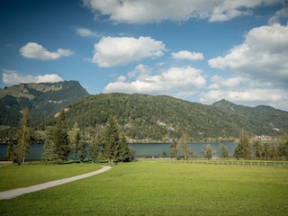 Kaiserwinkl, Walchsee, See