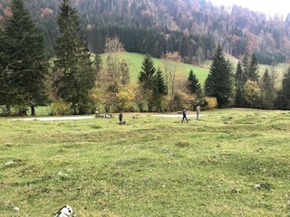 Walchsee wandern Herbst