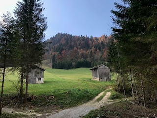 Walchsee wandern 4