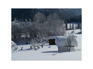 Bauernhof Oberhochstätt Aussicht von FeWo C