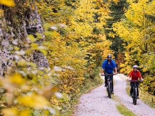 Kaiserwinkl_Herbsturlaub_Radfahren (8)