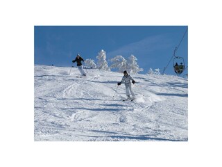 Skifahren
