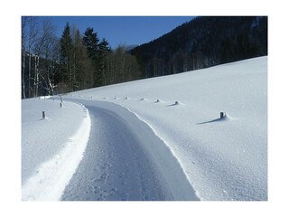 Gut geräumte Winterwanderwege