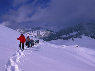 Schneeschuhgruppe mit Wandberghütte