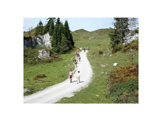 schöne Wanderungen auf Almen