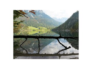 Herbst