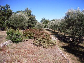 Vakantiehuis Saint-Cézaire-sur-Siagne Omgeving 15