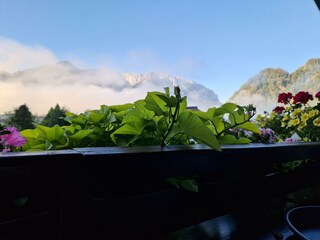 Aussicht Haus Bergblick