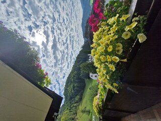 Aussicht vom Balkon