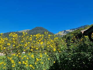 Hinter dem Haus