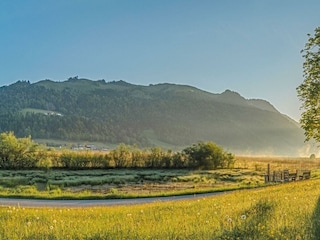 Landschaft Sommer