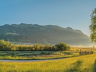 Landschaft Sommer