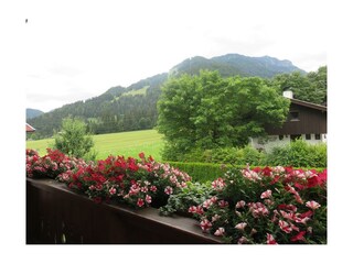 Appartement , Balkonaussicht-Sommer