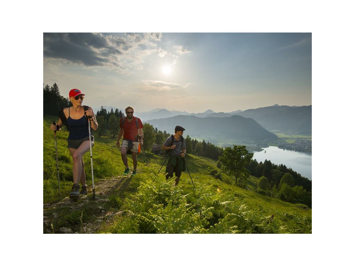 Wandern am Walchsee