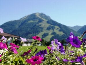 Apartment"1" -Wohn-Schlafzi/Du/WC,Blk